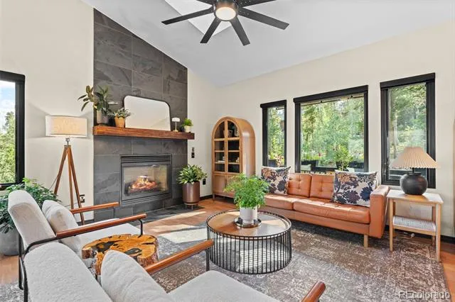 424 W Dory Way Black Hawk, CO 80422