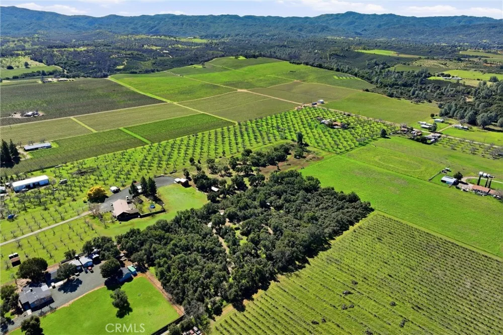 6495 Jacobson Road Kelseyville, CA 95451