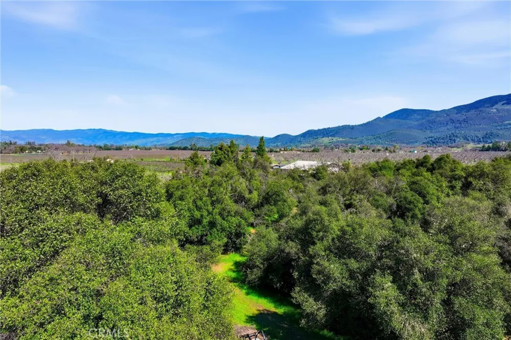6495 Jacobson Road Kelseyville, CA 95451
