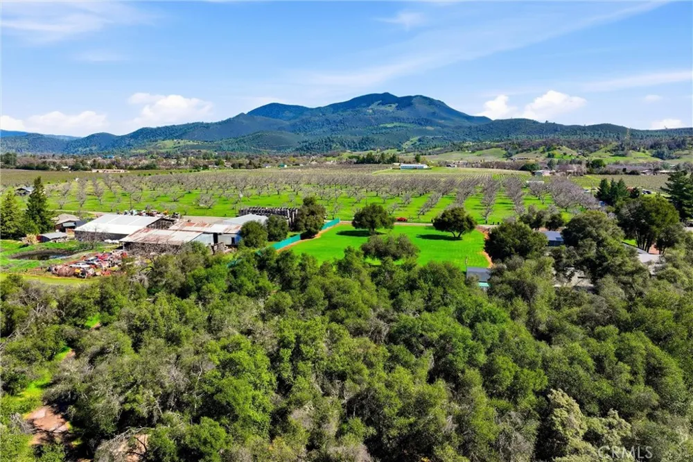 6495 Jacobson Road Kelseyville, CA 95451