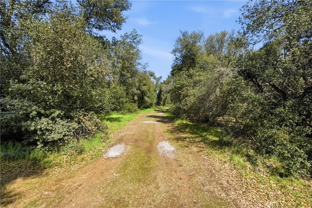 6495 Jacobson Road Kelseyville, CA 95451