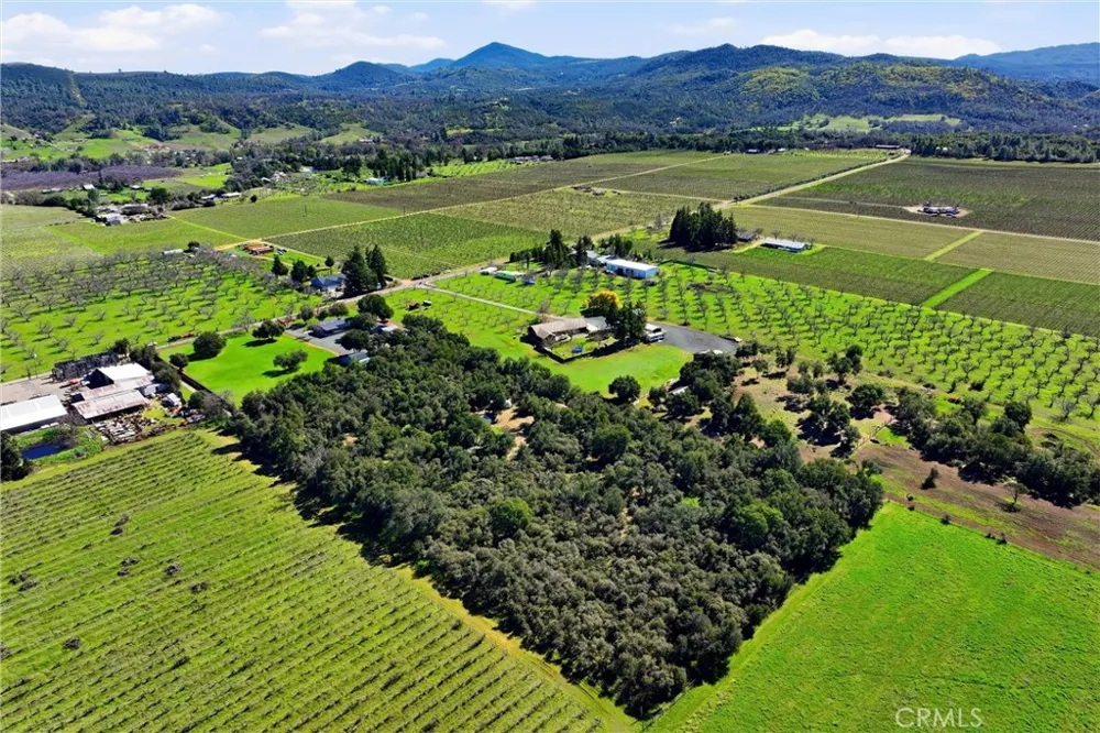 6495 Jacobson Road Kelseyville, CA 95451