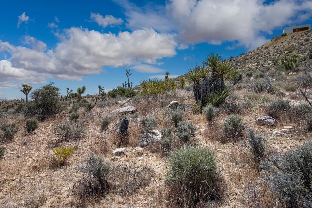 57823 Hilton Lane Yucca Valley, CA 92284