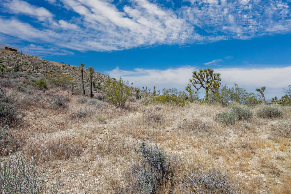 57823 Hilton Lane Yucca Valley, CA 92284