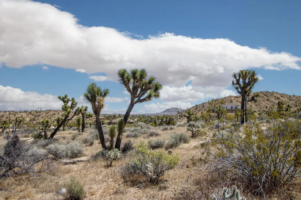 57823 Hilton Lane Yucca Valley, CA 92284