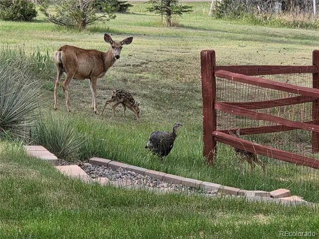7787 Windfont Row Parker, CO 80134