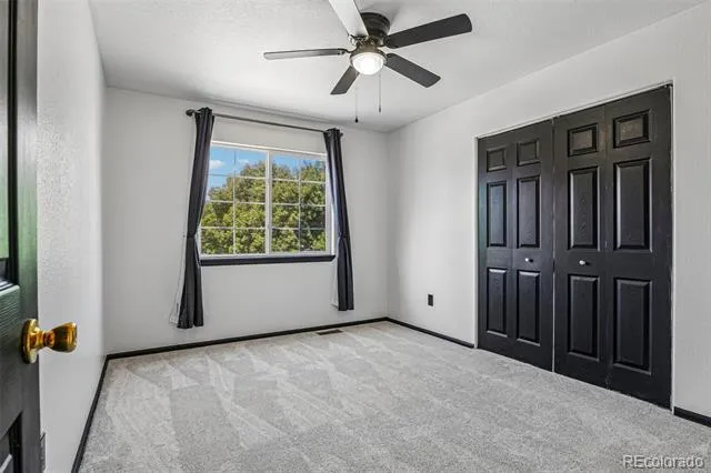 304 Green Teal Drive Loveland, CO 80537