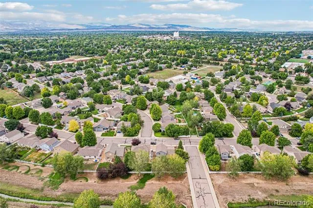 304 Green Teal Drive Loveland, CO 80537