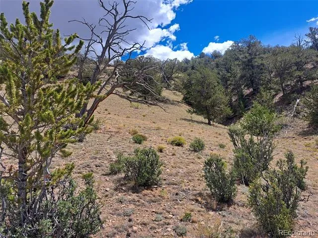 2994 Vista Grande Court Como, CO 80432