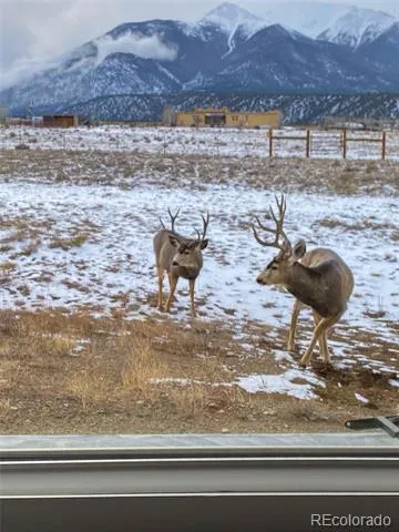 12910 County Road 162 Nathrop, CO 81236