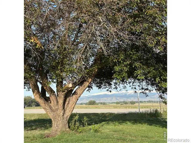 8502 107th Street Longmont, CO 80504