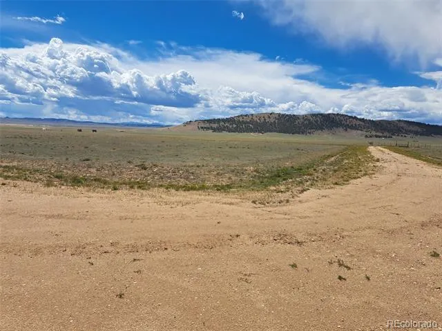 32 Tee Lane Hartsel, CO 80449