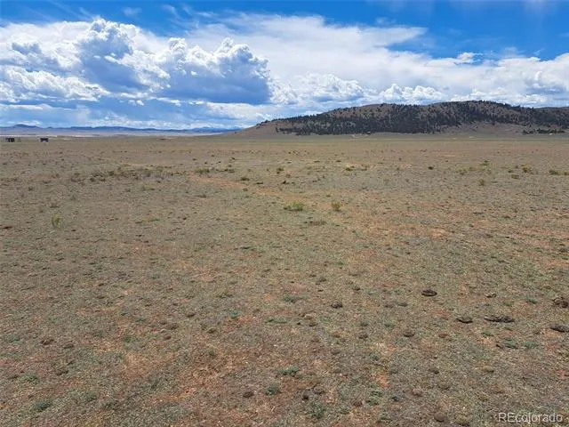 32 Tee Lane Hartsel, CO 80449