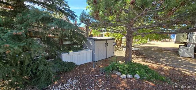 10795 County Road 197a, #116 Nathrop, CO 81236