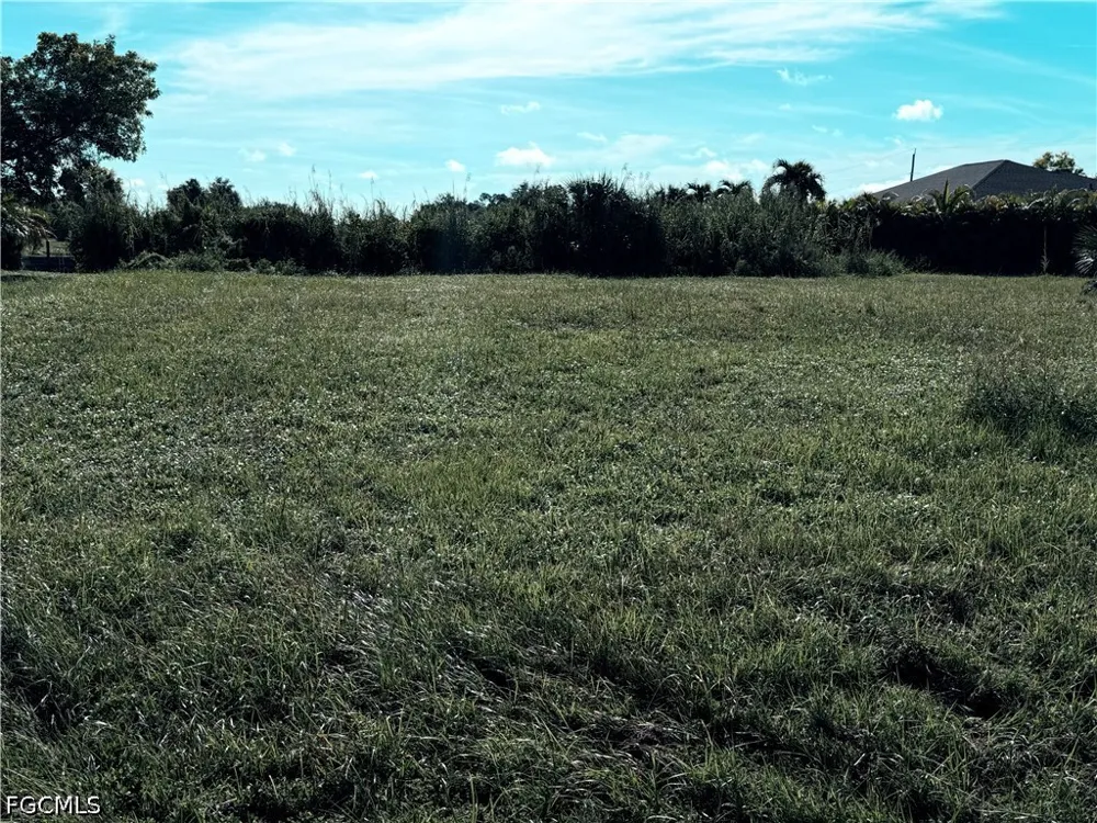 Old Burnt Store Road Cape Coral, FL 33993