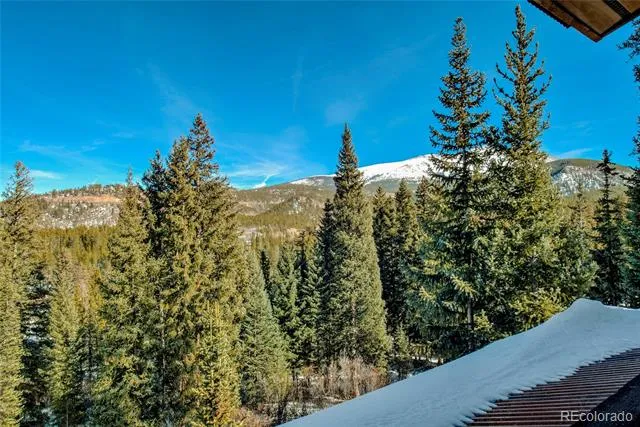 95 Victory Lane Breckenridge, CO 80424