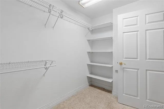 128 Las Lunas Street Castle Rock, CO 80104