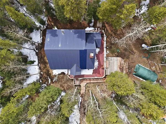 1419 Little Bear Creek Road Idaho Springs, CO 80452