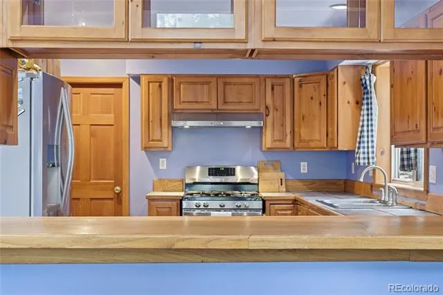 1419 Little Bear Creek Road Idaho Springs, CO 80452