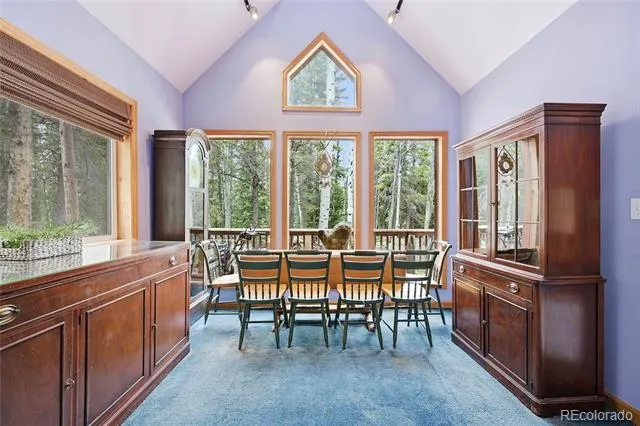 1419 Little Bear Creek Road Idaho Springs, CO 80452