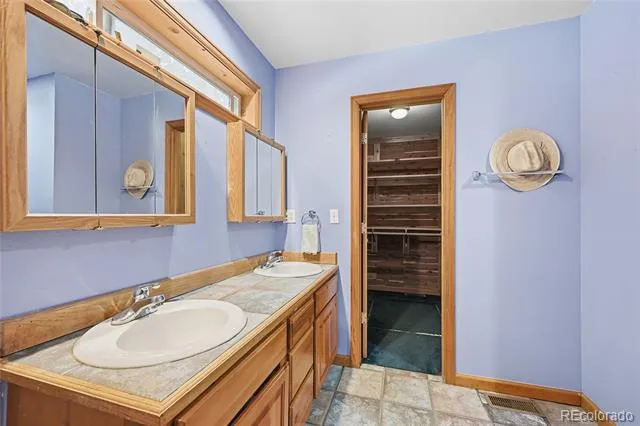 1419 Little Bear Creek Road Idaho Springs, CO 80452