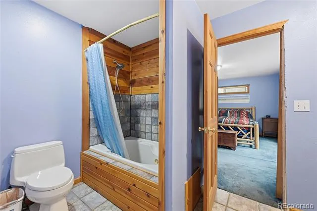 1419 Little Bear Creek Road Idaho Springs, CO 80452