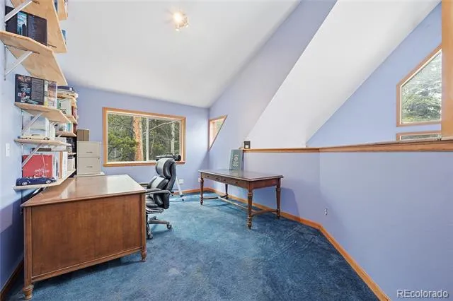 1419 Little Bear Creek Road Idaho Springs, CO 80452