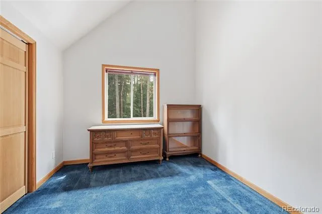 1419 Little Bear Creek Road Idaho Springs, CO 80452
