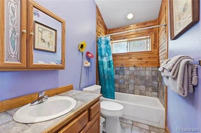 1419 Little Bear Creek Road Idaho Springs, CO 80452