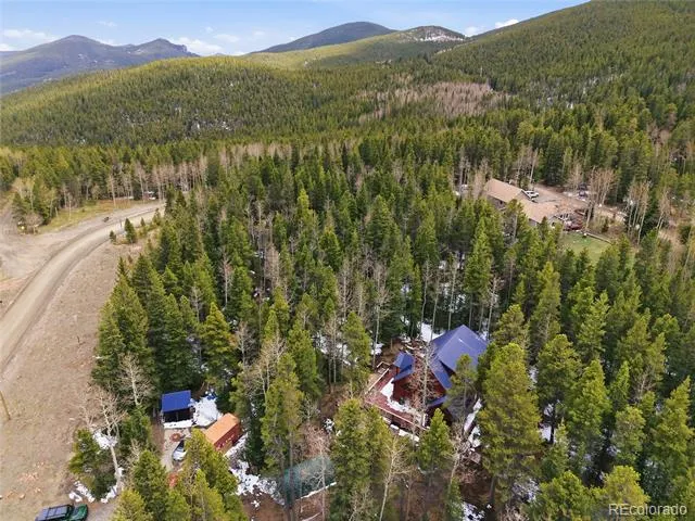1419 Little Bear Creek Road Idaho Springs, CO 80452