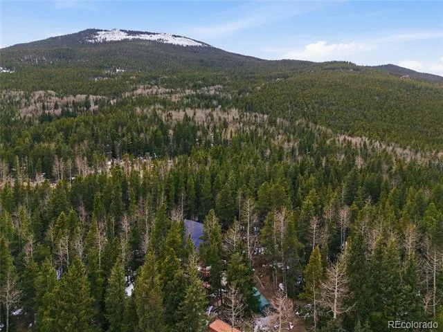 1419 Little Bear Creek Road Idaho Springs, CO 80452