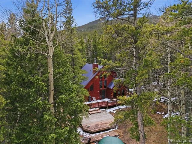1419 Little Bear Creek Road Idaho Springs, CO 80452