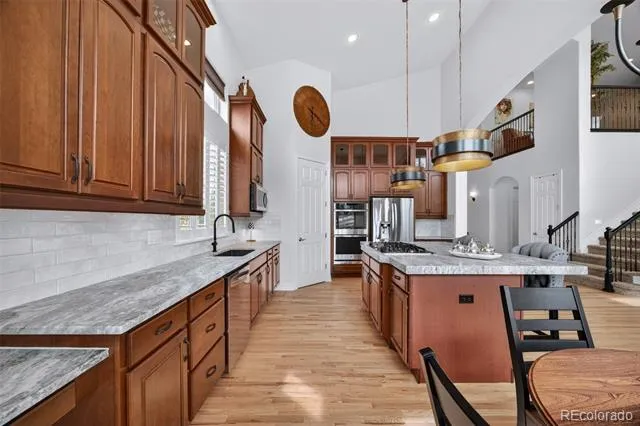 19950 E Shady Ridge Road Parker, CO 80134