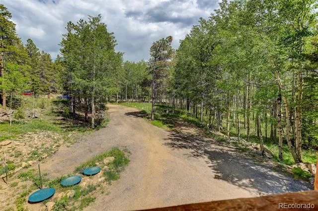 261 Pine Drive Black Hawk, CO 80422