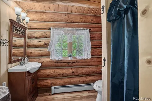 261 Pine Drive Black Hawk, CO 80422