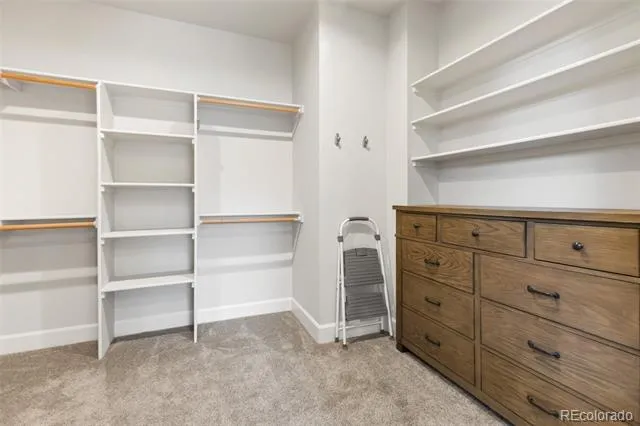 1350 Longs Point Woodland Park, CO 80863