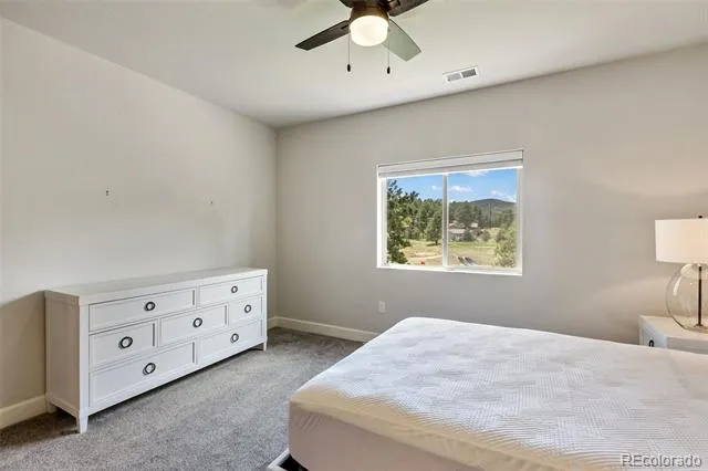 1350 Longs Point Woodland Park, CO 80863