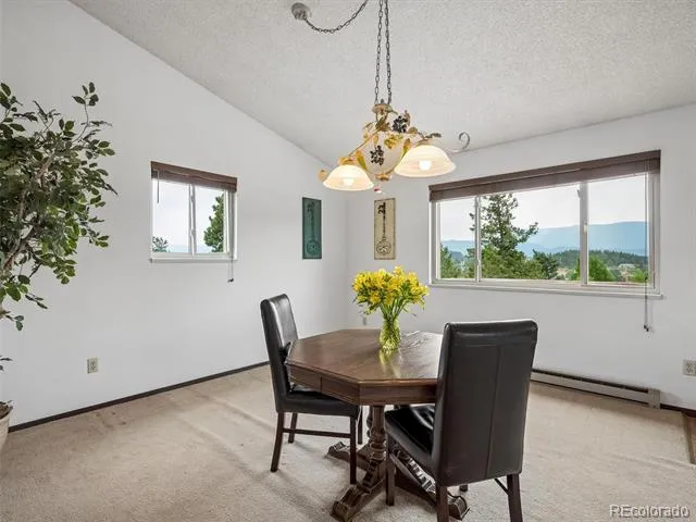 55 Deer Trail Drive Bailey, CO 80421