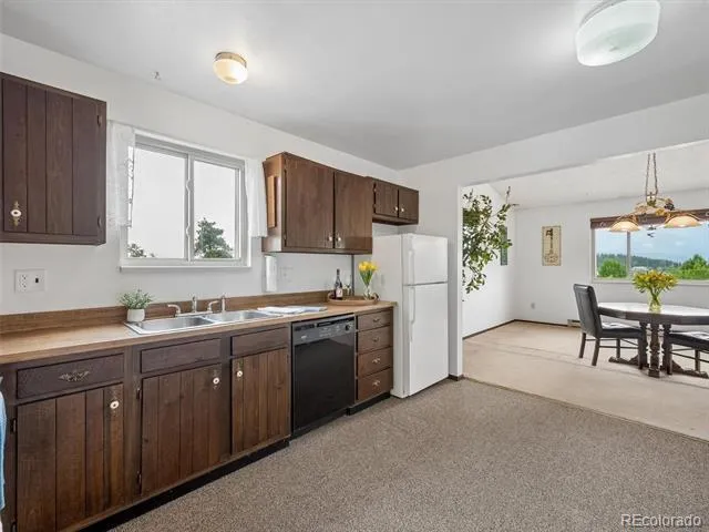 55 Deer Trail Drive Bailey, CO 80421