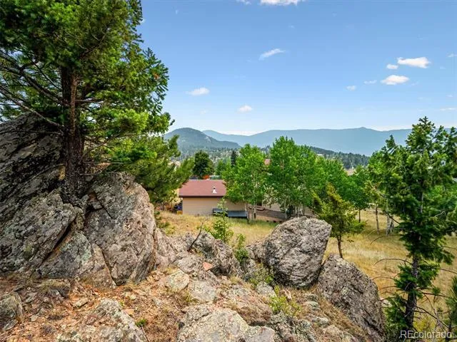55 Deer Trail Drive Bailey, CO 80421