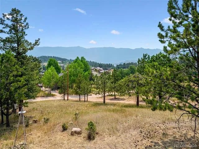 55 Deer Trail Drive Bailey, CO 80421