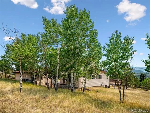 55 Deer Trail Drive Bailey, CO 80421