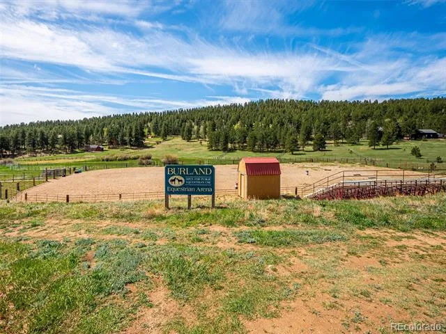 55 Deer Trail Drive Bailey, CO 80421