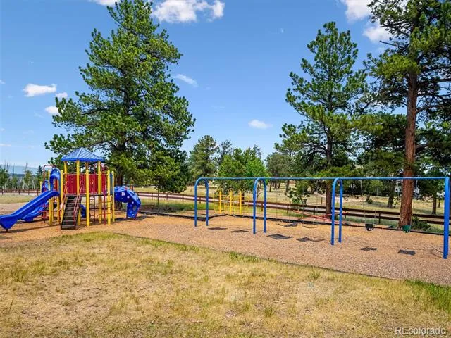 55 Deer Trail Drive Bailey, CO 80421