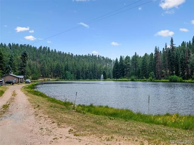 55 Deer Trail Drive Bailey, CO 80421