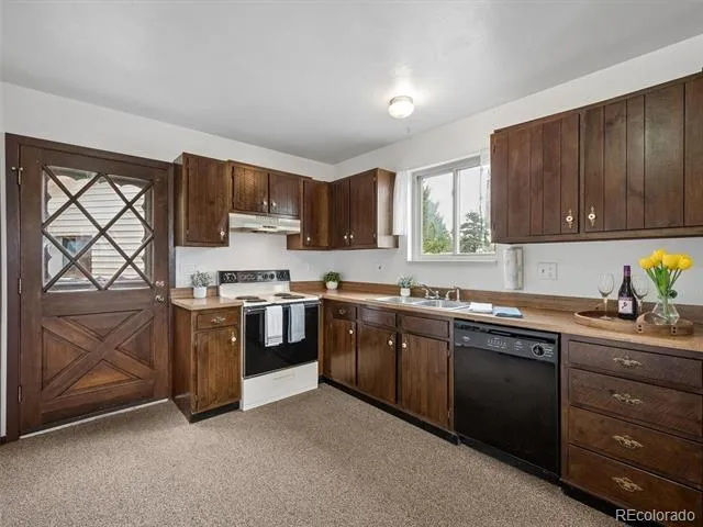 55 Deer Trail Drive Bailey, CO 80421