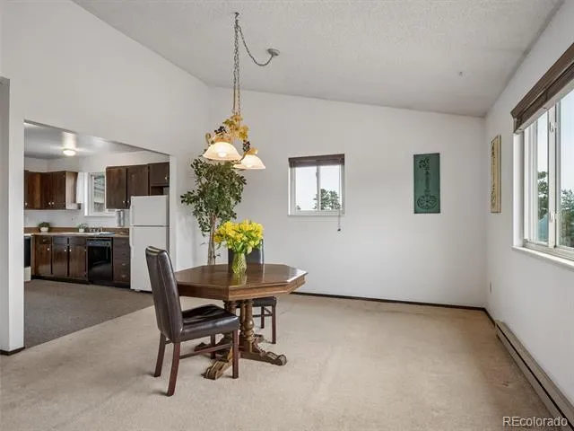 55 Deer Trail Drive Bailey, CO 80421