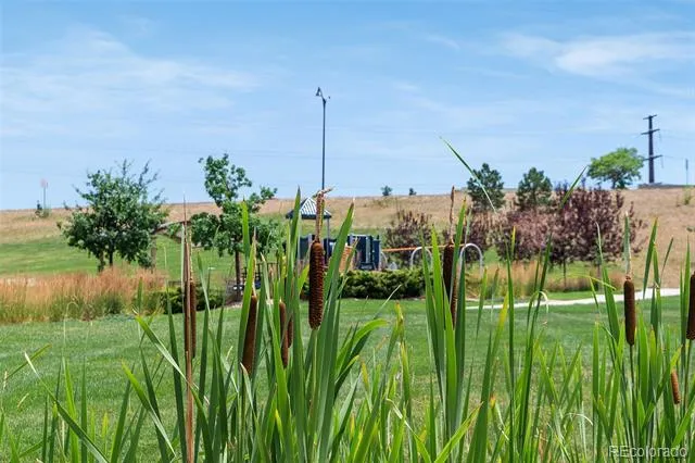9352 Yucca Way Arvada, CO 80007