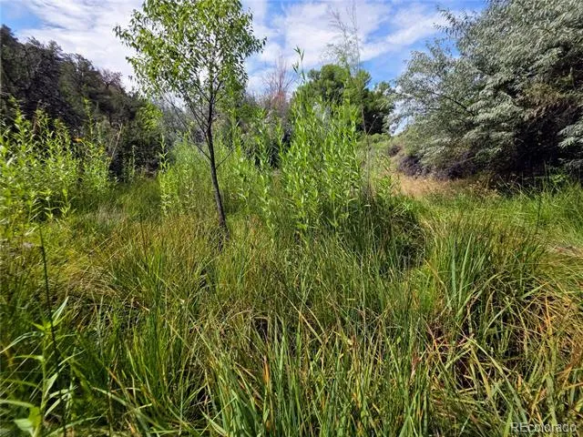 291 County Road 51 Cotopaxi, CO 81223