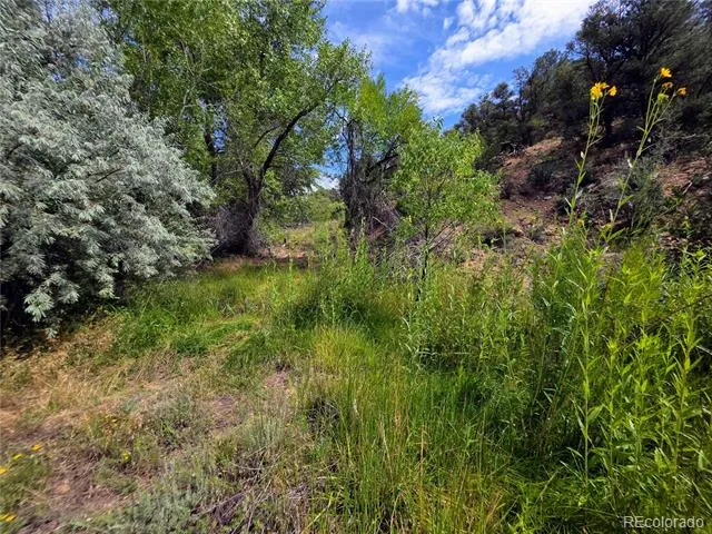 291 County Road 51 Cotopaxi, CO 81223